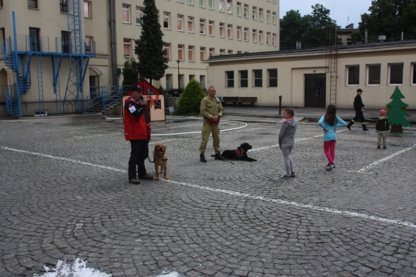 IMG 1631