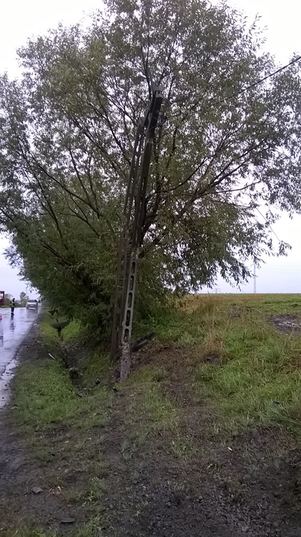 WP 20150926 16 54 39 Pro